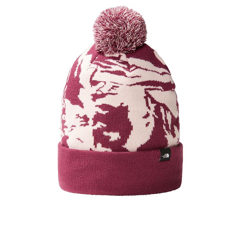 The North Face Ski Tuke Beanie