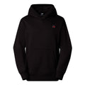 The North Face Icons