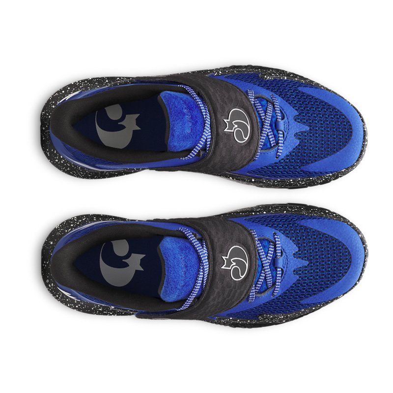 Under Armour Curry Fox 2 "Lexington"