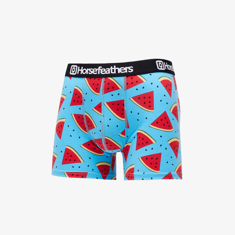 Bokserki Horsefeathers Sidney Boxer Shorts Melon