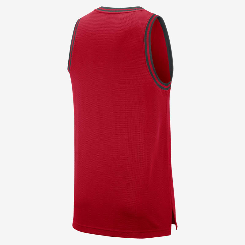 Nike NBA Chicago Bulls DNA Tank Top Red