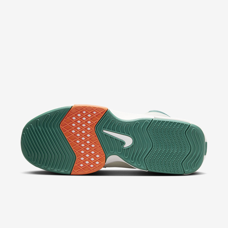 Nike Lebron Witness VIII