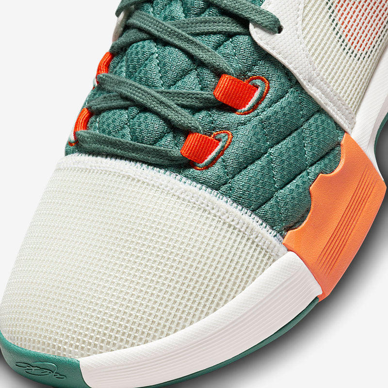 Nike Lebron Witness VIII