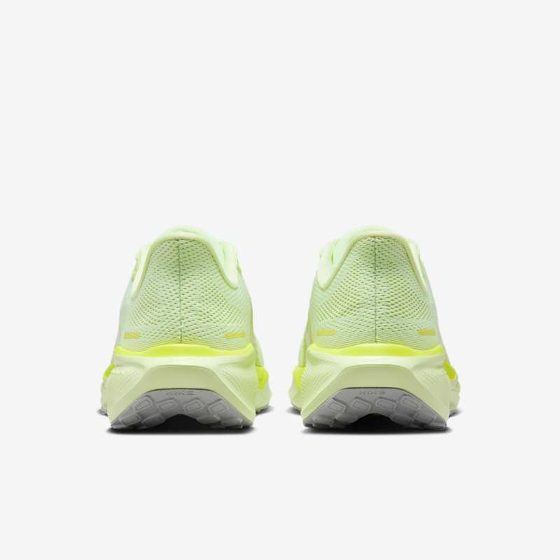 Nike Wmns Pegasus 41