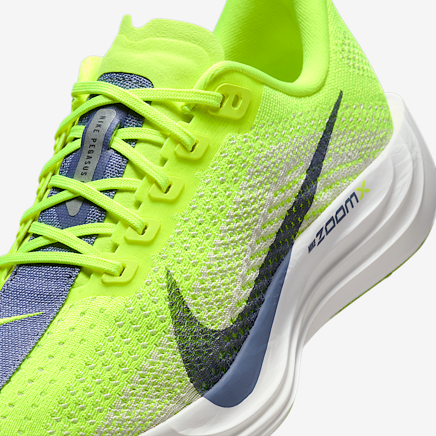 Nike Wmns Pegasus Plus