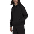 adidas Originals Graphics Tricolor Hoodie