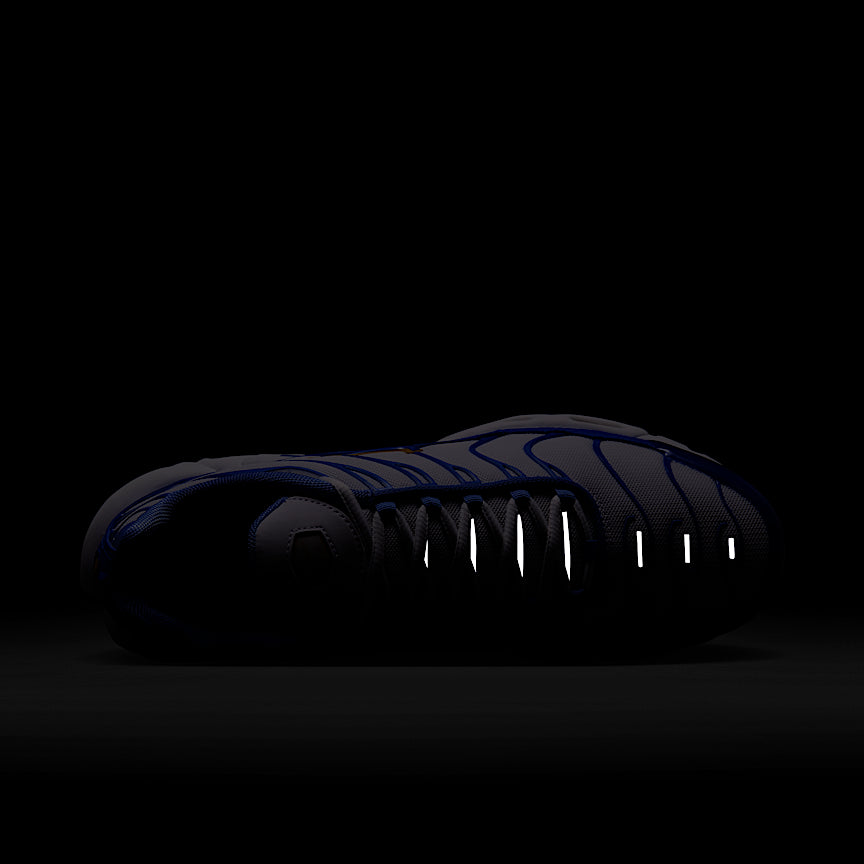 Nike Air Max Plus